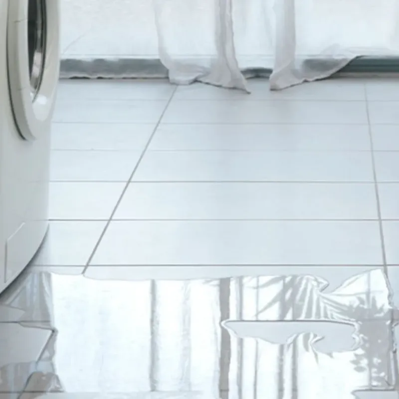 Appliance Leak Cleanup in Gordon County, GA