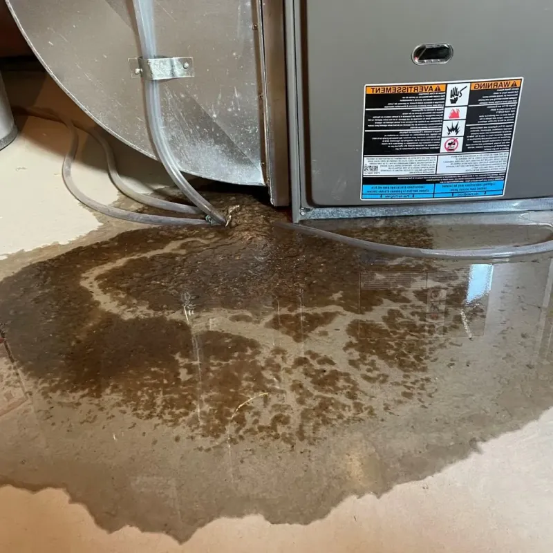 Pipe Burst and Leak Restoration in Gordon County, GA