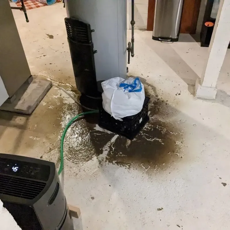Sewage Backup Cleanup Service in Gordon County, GA